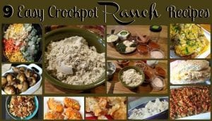 9 Easy Crockpot Ranch Recipes! Find this & more delicious recipes @ https://www.slowcookerkitchen.com