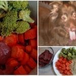 Crock Pot Dog Food! Find this & more crockpot recipes @ https://www.slowcookerkitchen.com