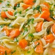 slow-cooker-chicken-noodle-soup
