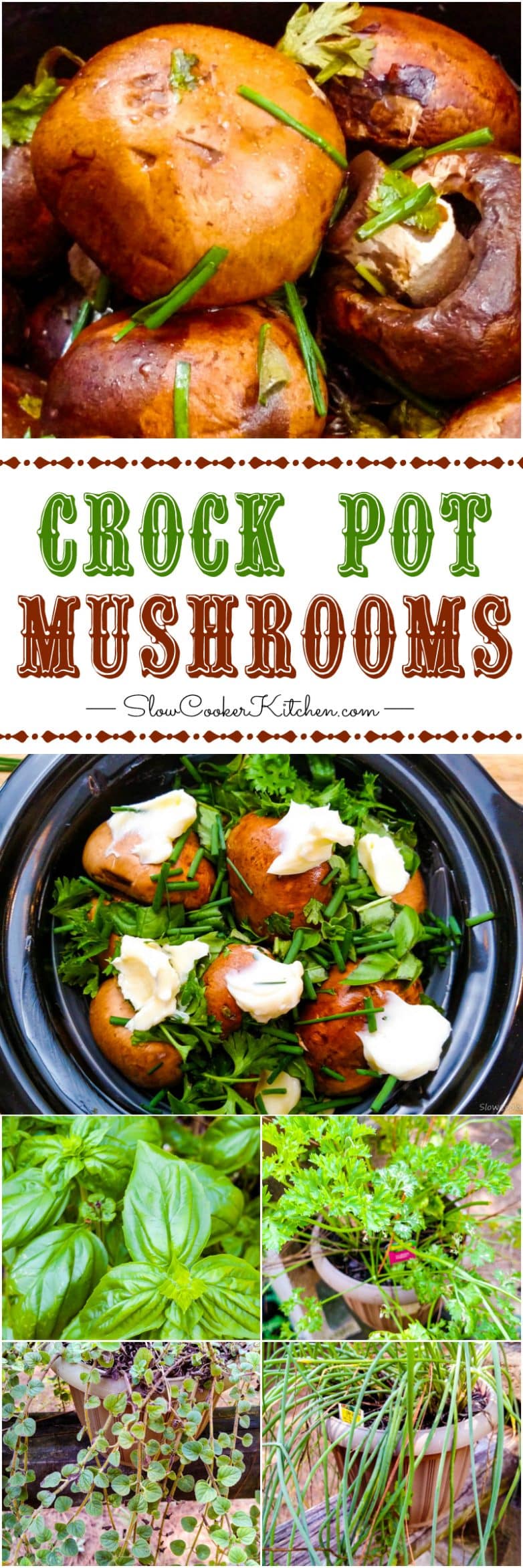 Butter and Herb Crockpot Mushrooms