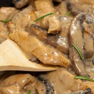 crock pot chicken stroganoff