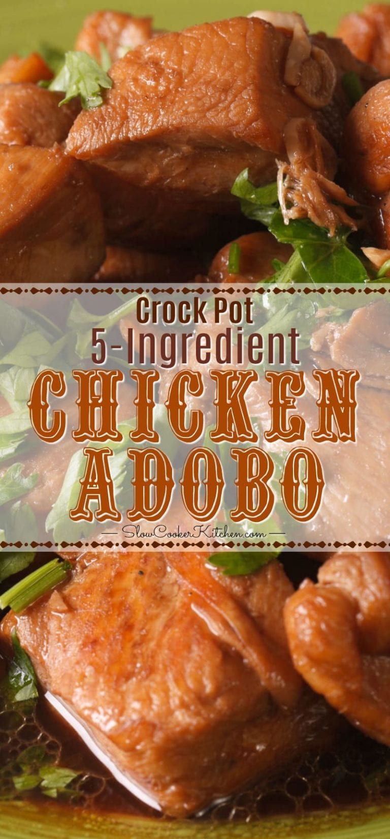 5Ingredient Crock Pot Chicken Adobo