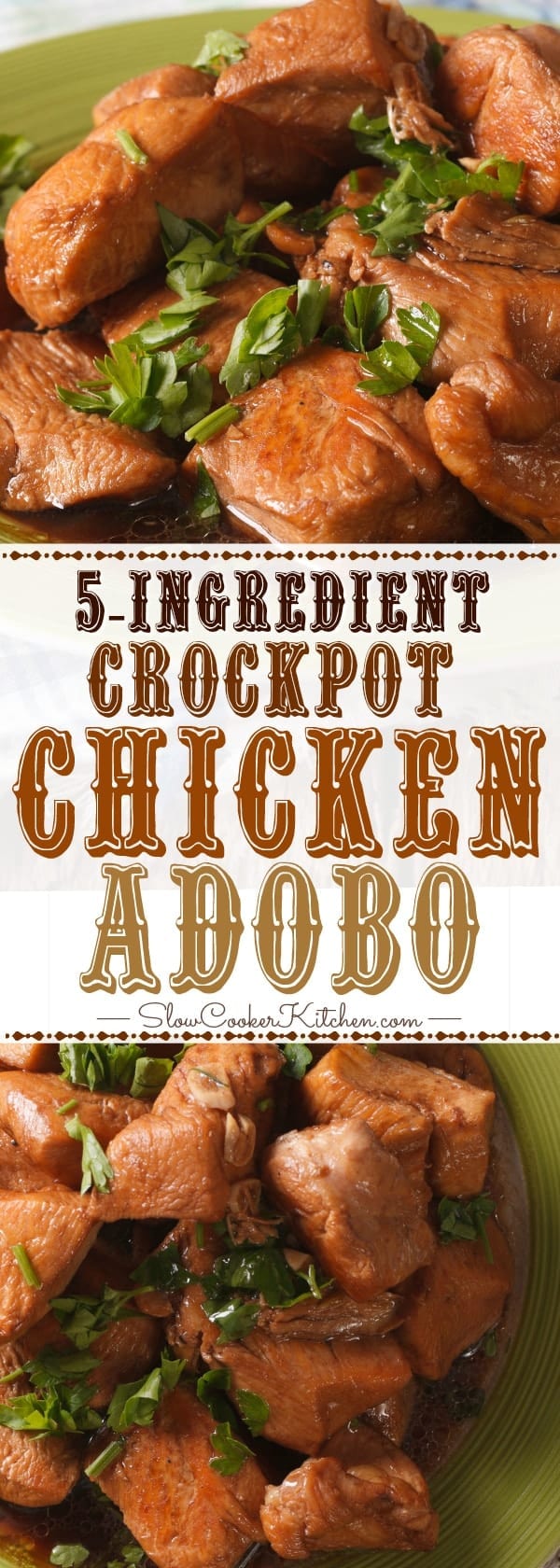5Ingredient Crock Pot Chicken Adobo