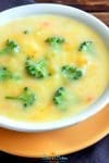 Cheap and tasty, quick and easy broccoli cheese soup crock pot! With crockpot, stove-top, pressure cooker, & freezer meal directions!