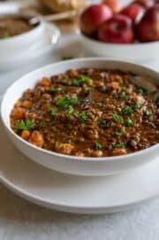 Bowl of thick beef lentil soup with carrots, tender beef, lentils, and parsley.
